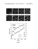 MULTI-PHOTON ISOMERISATION OF COMBRETASTATINS AND THEIR USE IN THERAPY diagram and image