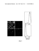 MULTI-PHOTON ISOMERISATION OF COMBRETASTATINS AND THEIR USE IN THERAPY diagram and image