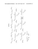 TETRAZINES/TRANS-CYCLOOCTENES IN SOLID PHASE SYNTHESIS OF LABELED PEPTIDES diagram and image