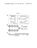 TETRAZINES/TRANS-CYCLOOCTENES IN SOLID PHASE SYNTHESIS OF LABELED PEPTIDES diagram and image