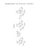 TETRAZINES/TRANS-CYCLOOCTENES IN SOLID PHASE SYNTHESIS OF LABELED PEPTIDES diagram and image