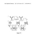 TETRAZINES/TRANS-CYCLOOCTENES IN SOLID PHASE SYNTHESIS OF LABELED PEPTIDES diagram and image