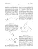 TETRAZINES/TRANS-CYCLOOCTENES IN SOLID PHASE SYNTHESIS OF LABELED PEPTIDES diagram and image