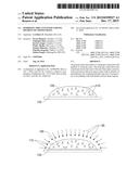 HYDROGEL IMPLANTS WITH VARYING DEGREES OF CROSSLINKING diagram and image