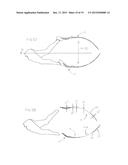 COMPOSITE DIVE FIN ASSEMBLY diagram and image