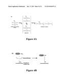 DEVICE FOR RECOVERY AND ISOLATION OF BIOMOLECULES diagram and image