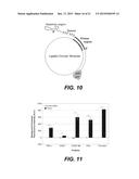 DEVICE FOR RECOVERY AND ISOLATION OF BIOMOLECULES diagram and image