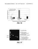 DEVICE FOR RECOVERY AND ISOLATION OF BIOMOLECULES diagram and image