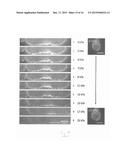 MICROFLUIDIC DEVICES, SYSTEMS, AND METHODS FOR EVALUATING TISSUE SAMPLES diagram and image