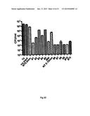 REACTOR WITH ANTIMICROBIAL MEDIUM FOR LIQUID DISINFECTION diagram and image