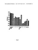 REACTOR WITH ANTIMICROBIAL MEDIUM FOR LIQUID DISINFECTION diagram and image