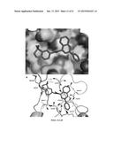 STAT3 INHIBITOR diagram and image