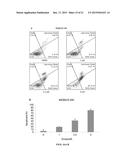 STAT3 INHIBITOR diagram and image