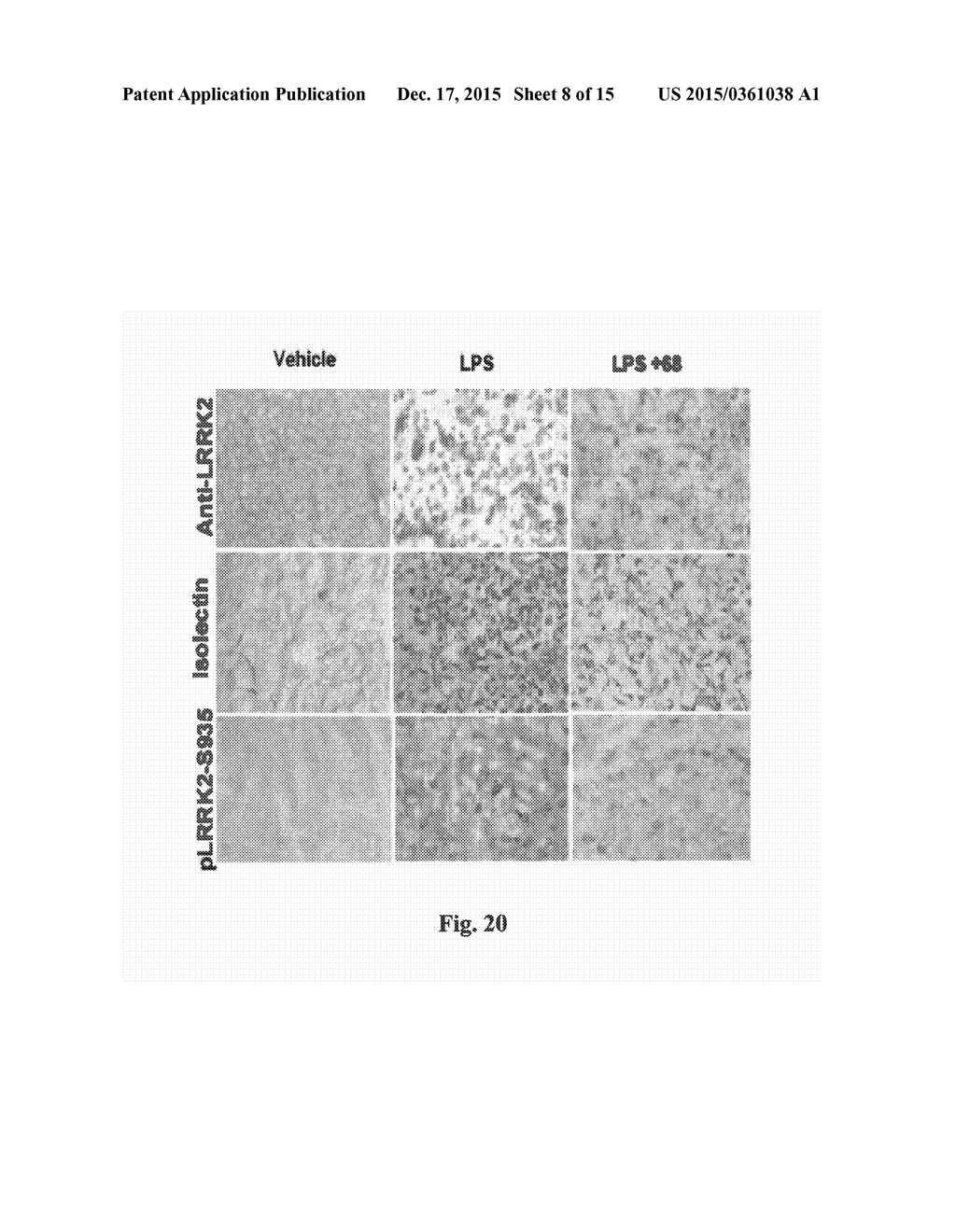 LRRK2 GTP BINDING INHIBITORS FOR TREATMENT OF PARKINSON'S DISEASE AND     NEUROINFLAMMATORY DISORDERS - diagram, schematic, and image 09