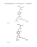 INHIBITION OF MACROPHAGE MIGRATION INHIBITORY FACTOR IN MELANOMA AND COLON     CANCER diagram and image