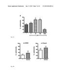 INHIBITION OF MACROPHAGE MIGRATION INHIBITORY FACTOR IN MELANOMA AND COLON     CANCER diagram and image