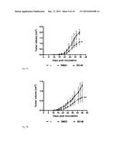 INHIBITION OF MACROPHAGE MIGRATION INHIBITORY FACTOR IN MELANOMA AND COLON     CANCER diagram and image