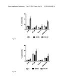 INHIBITION OF MACROPHAGE MIGRATION INHIBITORY FACTOR IN MELANOMA AND COLON     CANCER diagram and image