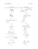 NOVEL LABELED CHEMICALLY REACTIVE AND BIOLOGICALLY ACTIVE COMJUGATES, AND     METHODS AND COMPOSITIONS THEREOF diagram and image