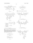 NOVEL LABELED CHEMICALLY REACTIVE AND BIOLOGICALLY ACTIVE COMJUGATES, AND     METHODS AND COMPOSITIONS THEREOF diagram and image