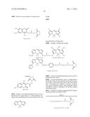 NOVEL LABELED CHEMICALLY REACTIVE AND BIOLOGICALLY ACTIVE COMJUGATES, AND     METHODS AND COMPOSITIONS THEREOF diagram and image