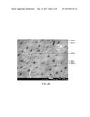 METHOD OF PREPARING CHITIN NANOFIBERS diagram and image