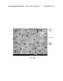 METHOD OF PREPARING CHITIN NANOFIBERS diagram and image