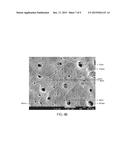 METHOD OF PREPARING CHITIN NANOFIBERS diagram and image