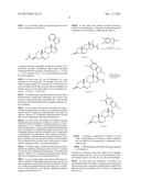 ANDROGEN RECEPTOR DOWN-REGULATING AGENTS AND USES THEREOF diagram and image