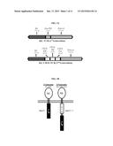 METHODS AND COMPOSITIONS FOR TREATING GASTROINTESTINAL STROMAL TUMOR     (GIST) diagram and image