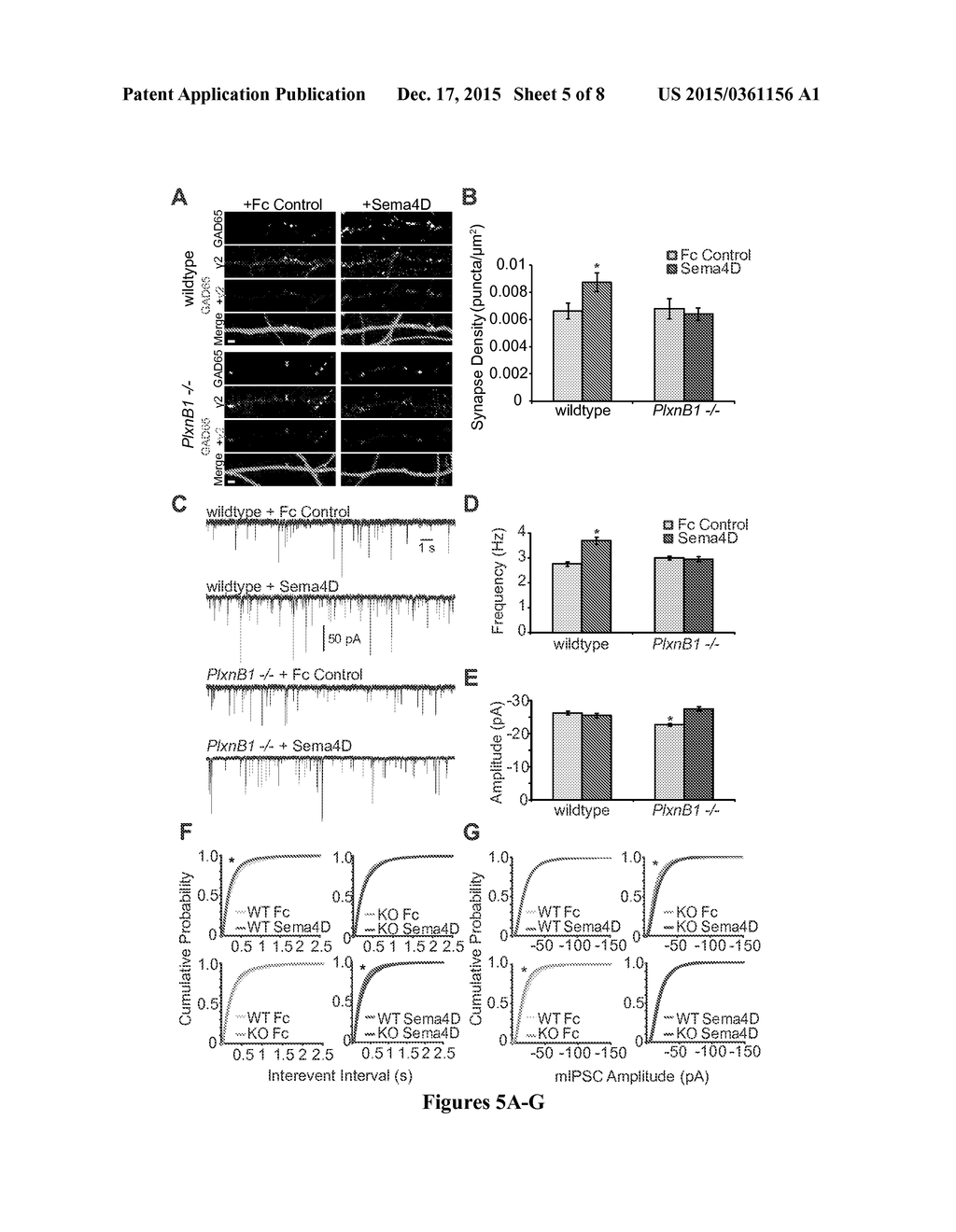 METHODS OF MODULATING GABAERGIC INHIBITORY SYNAPSE FORMATION AND FUNCTION - diagram, schematic, and image 06