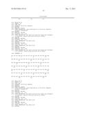 FIBRONECTIN BASED SCAFFOLD PROTEINS diagram and image