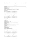 FIBRONECTIN BASED SCAFFOLD PROTEINS diagram and image