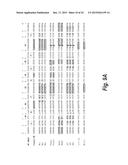 FIBRONECTIN BASED SCAFFOLD PROTEINS diagram and image