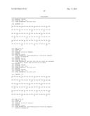 FIBRONECTIN BASED SCAFFOLD PROTEINS diagram and image