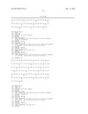 FIBRONECTIN BASED SCAFFOLD PROTEINS diagram and image