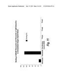 FIBRONECTIN BASED SCAFFOLD PROTEINS diagram and image