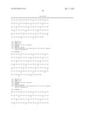 FIBRONECTIN BASED SCAFFOLD PROTEINS diagram and image