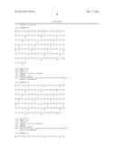 FIBRONECTIN BASED SCAFFOLD PROTEINS diagram and image