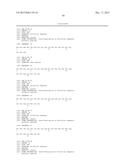 FIBRONECTIN BASED SCAFFOLD PROTEINS diagram and image