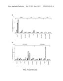 In Vitro Production of Medial Ganglionic Eminence Precursor Cells diagram and image