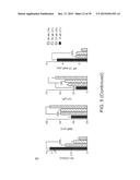 In Vitro Production of Medial Ganglionic Eminence Precursor Cells diagram and image