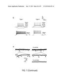 In Vitro Production of Medial Ganglionic Eminence Precursor Cells diagram and image