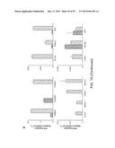 In Vitro Production of Medial Ganglionic Eminence Precursor Cells diagram and image