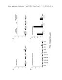 In Vitro Production of Medial Ganglionic Eminence Precursor Cells diagram and image