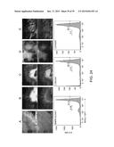 In Vitro Production of Medial Ganglionic Eminence Precursor Cells diagram and image