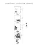 REPROGRAMMING OF HUMAN ENDOTHELIUM INTO HEMATOPOIETIC MULTI-LINEAGE     PROGENITORS BY DEFINED FACTORS diagram and image