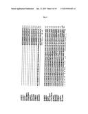 IMPROVED BACULOVIRAL EXPRESSION SYSTEM AND METHODS OF PRODUCING THE SAME diagram and image