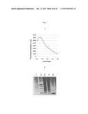 IMPROVED BACULOVIRAL EXPRESSION SYSTEM AND METHODS OF PRODUCING THE SAME diagram and image