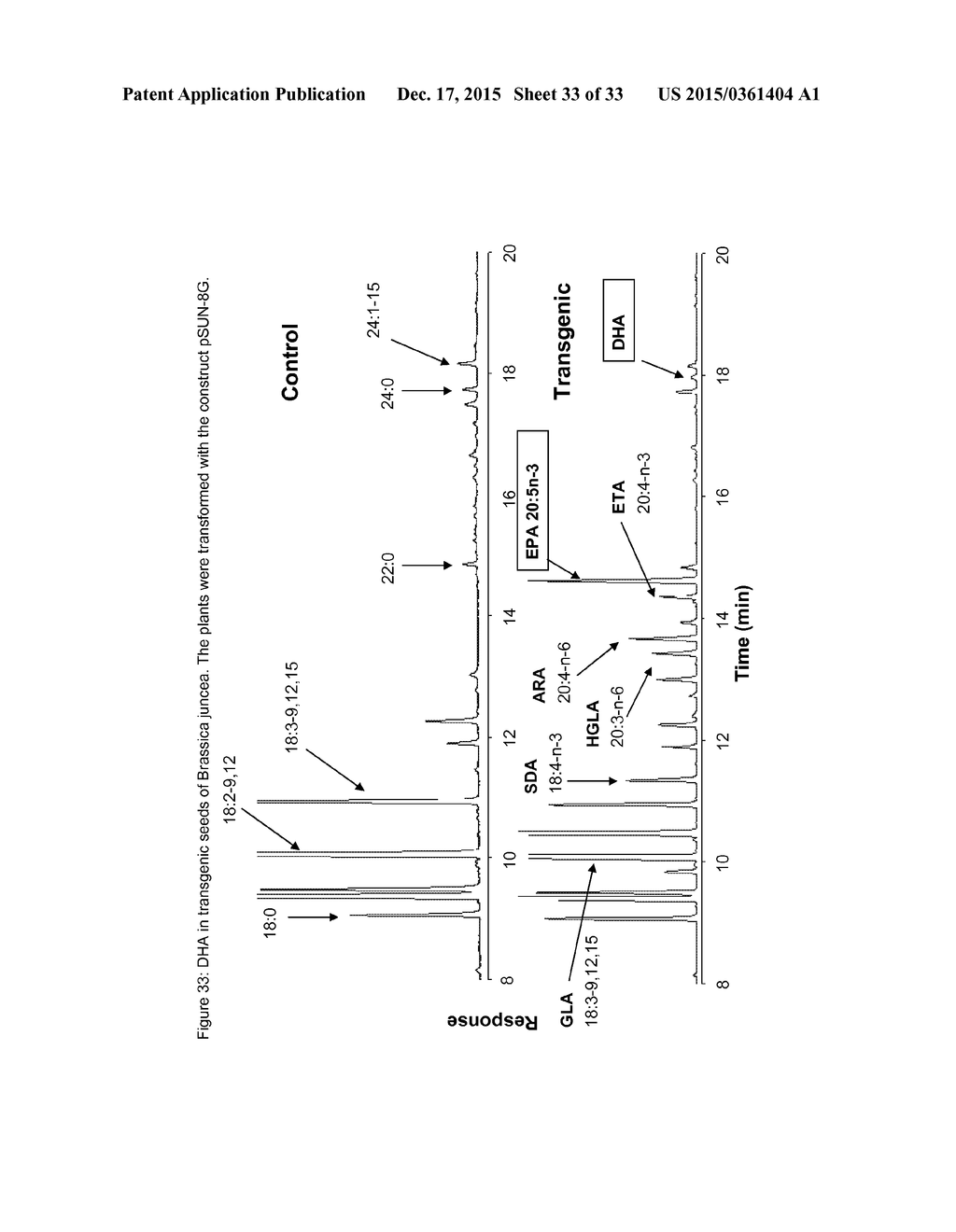 METHOD FOR PRODUCING POLYUNSATURATED FATTY ACIDS IN TRANSGENIC PLANTS - diagram, schematic, and image 34